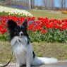 photo_1745911