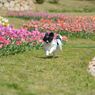 photo_1745912
