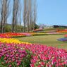 photo_1745916