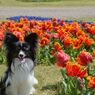 photo_1745929