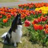 photo_1745930