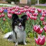 photo_1745932