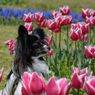 photo_1745933
