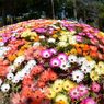 photo_1745987