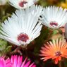 photo_1745988