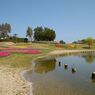 photo_1745990