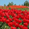 photo_1745991