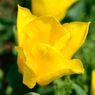photo_1745992