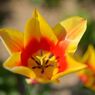 photo_1745994