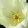 photo_1745995