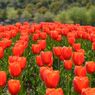photo_1745996