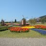 photo_1746002