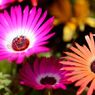 photo_1746006