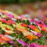 photo_1746008