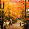 神峯山寺