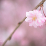 lovefavorite_423