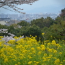春の景色