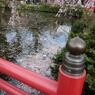 見下ろして良し
