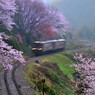 雨の渡良瀬路