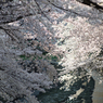 P1120554s