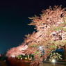 春の夜