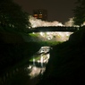 夜桜