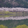 2012/4/15　土師ダム湖