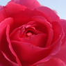 DSCF0850