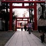 新宿花園神社