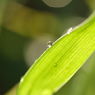 雨のち晴れ