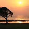 夕景１