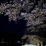 老木達の夜宴