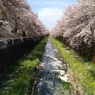 spring collection