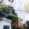 空と桜と