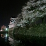 春高楼の花の宴