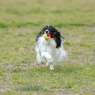 photo_1762367
