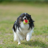 photo_1762377