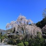 信仰の山で輝く