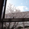 見慣れた窓の外に