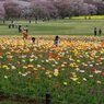 昭和記念公園9