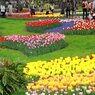 昭和記念公園12