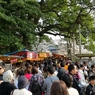 人ひとhito