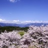 空、山、桜