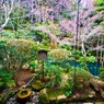 竜安寺　方丈庭園（石庭）