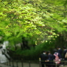 修学旅行