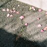 名張　05