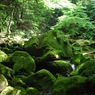赤目四十八滝　　05