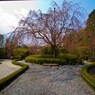 妙心寺　元信の庭１