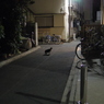 路地裏