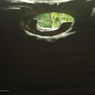 Woodship01